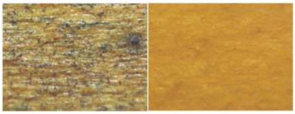 Super-zoomed in image of mold on wood without Advance (L) and clean wood with Advance (R)